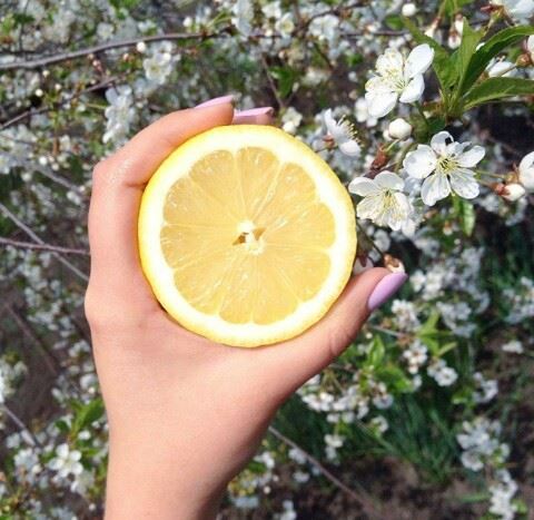 lemon-beauty-diet09_R