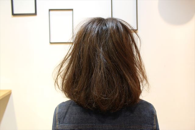 チャップアップシャンプーを使う前の女性の後ろ髪の画像
