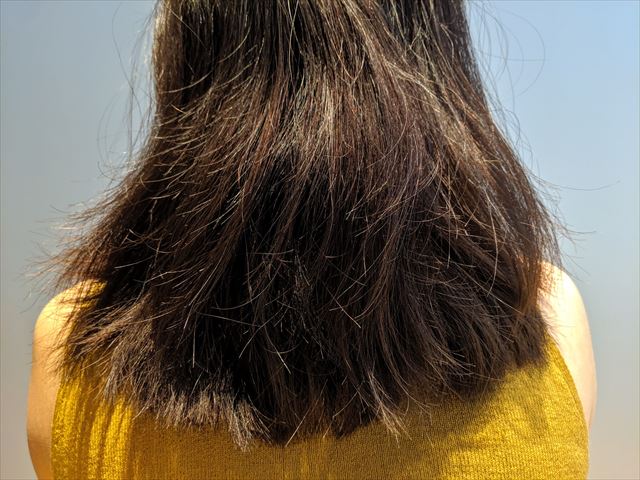 ボサボサに傷んだ髪の毛の画像2